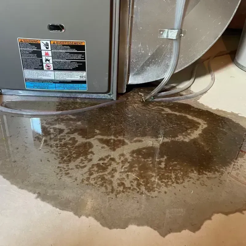 Appliance Leak Cleanup in Cameron, TX